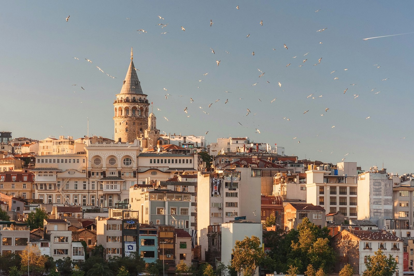 Galata Kulesi ve İstanbul’un çatıları